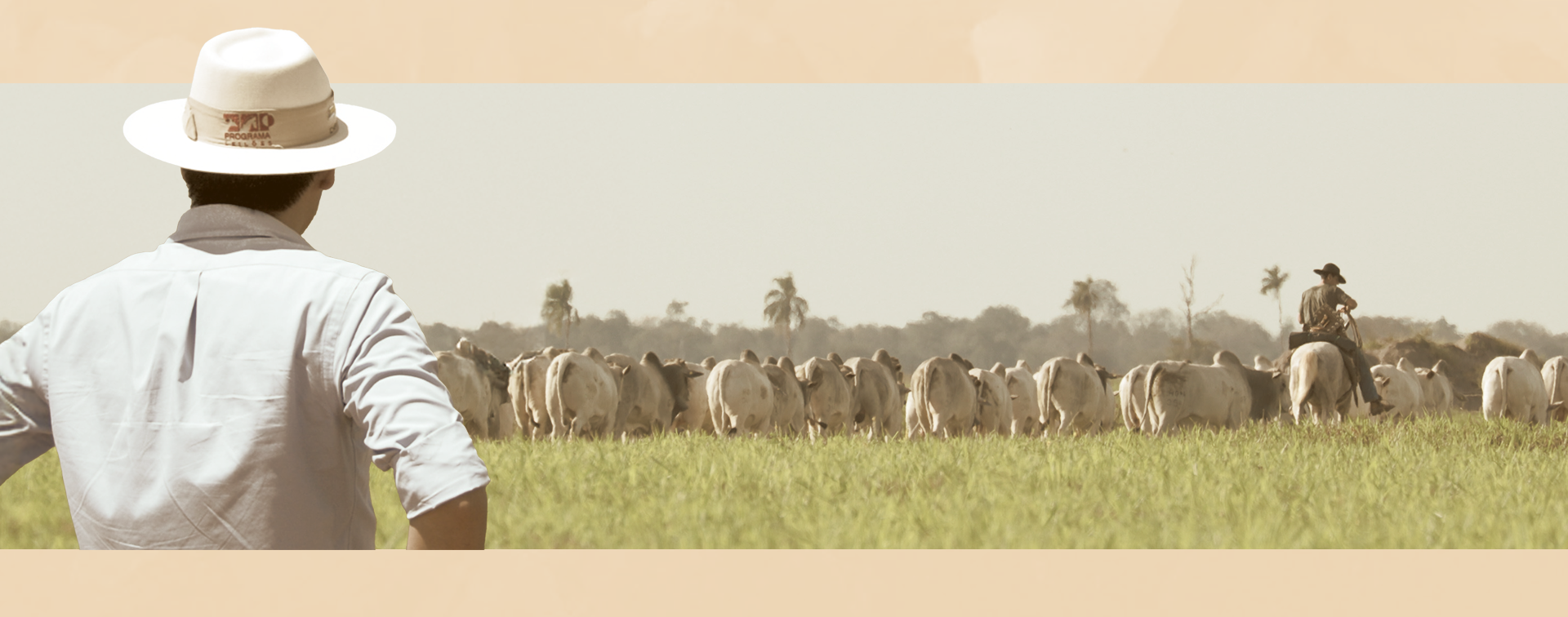 Agro immobiliare parte 3